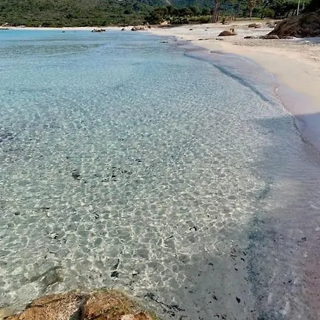 Zanzimare Casa * Grosseto-Prugna