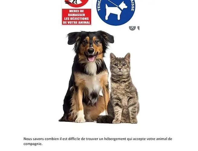 דירה Zanzimare Casa *