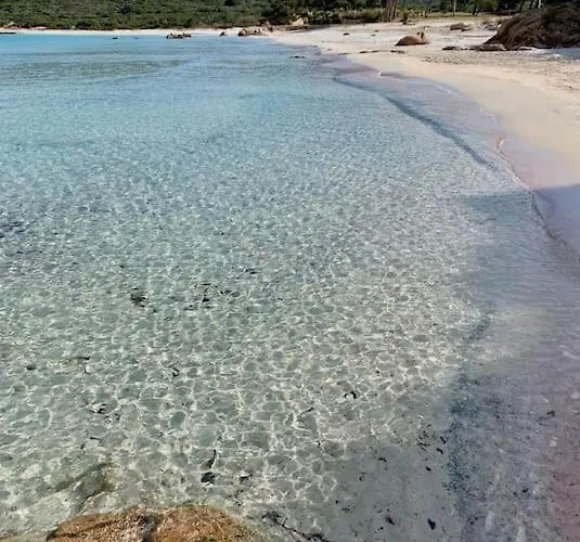 Zanzimare Casa * Grosseto-Prugna