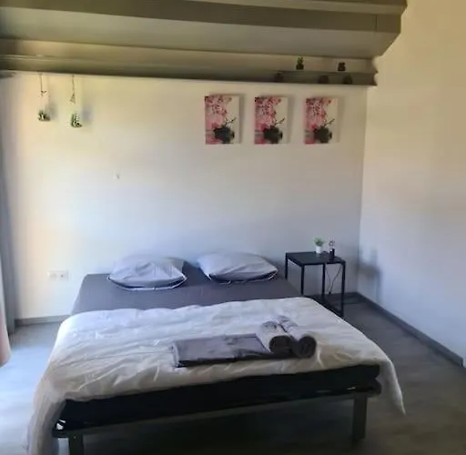 Zanzimare Casa